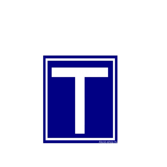 Tanuló vezető T betű mágneses Kicsi 10*10cm